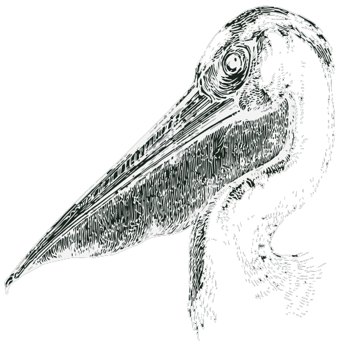 The Back Lane Tavern