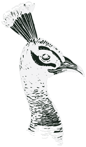 The Back Lane Tavern